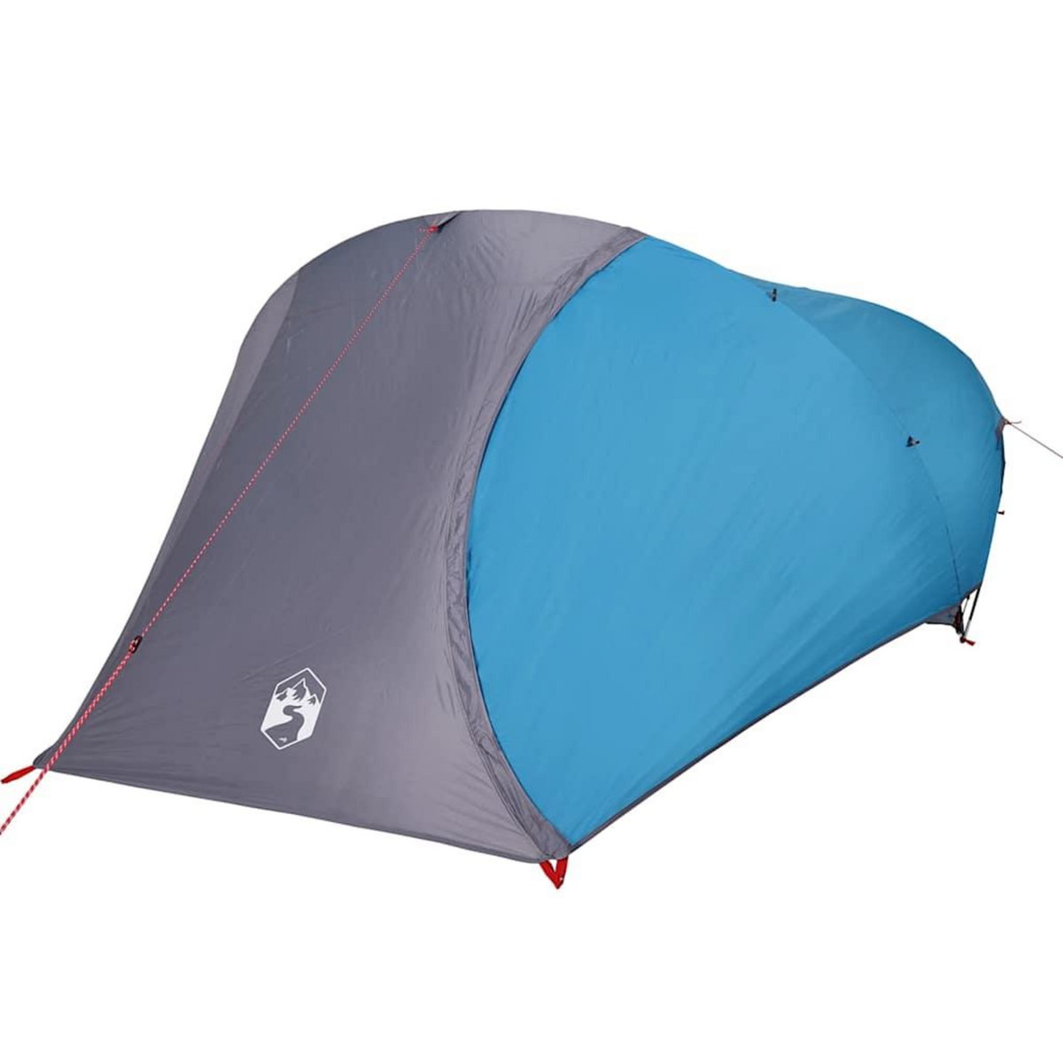 VIDAXL Tente de camping a dome 4 personnes bleu impermeable