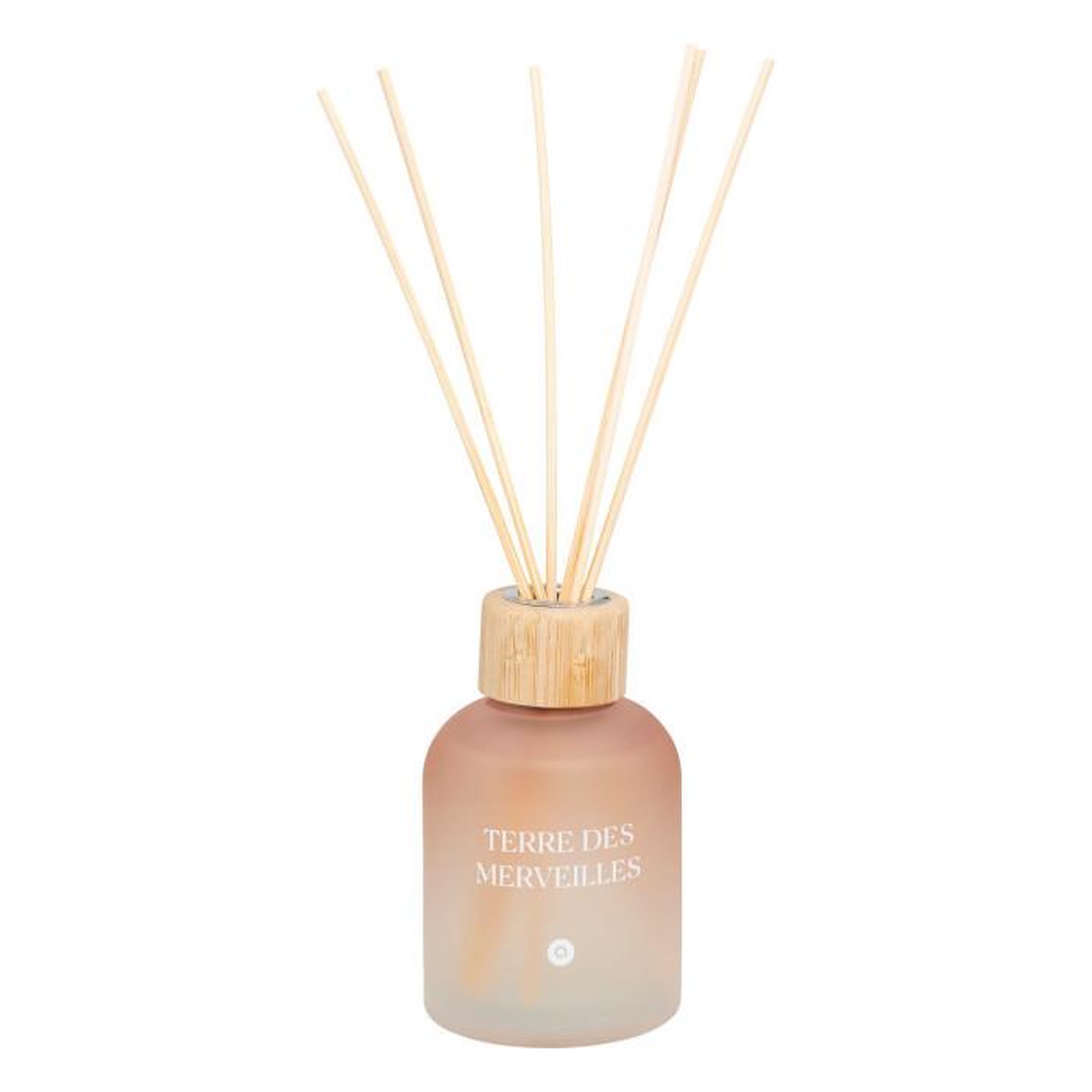 ATMOSPHERA Diffuseur de Parfum en Verre  Sana  150ml Terre des Merveilles