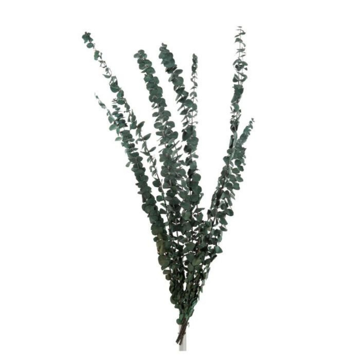 Paris Prix Plante Artificielle  Bouquet Eucalyptus  75cm Vert