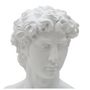 Voir la diapositive 3 : Paris Prix Buste Tête Masculine  Roman  34cm Blanc