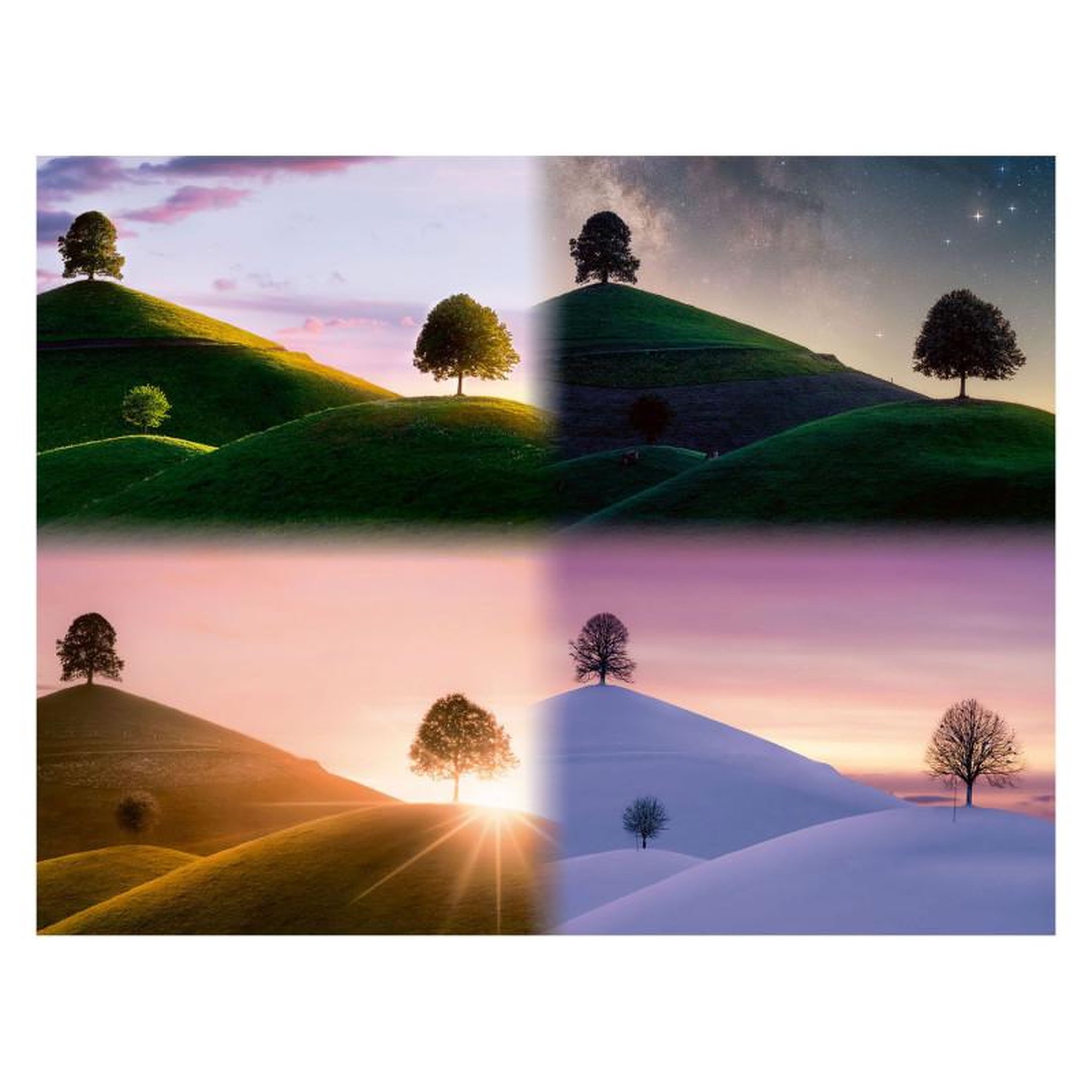 Voir la diapositive 2 : RAVENSBURGER Ravensburger - Jigsaw puzzle Moodful Trees and Mountains, 2000 pcs. 174430