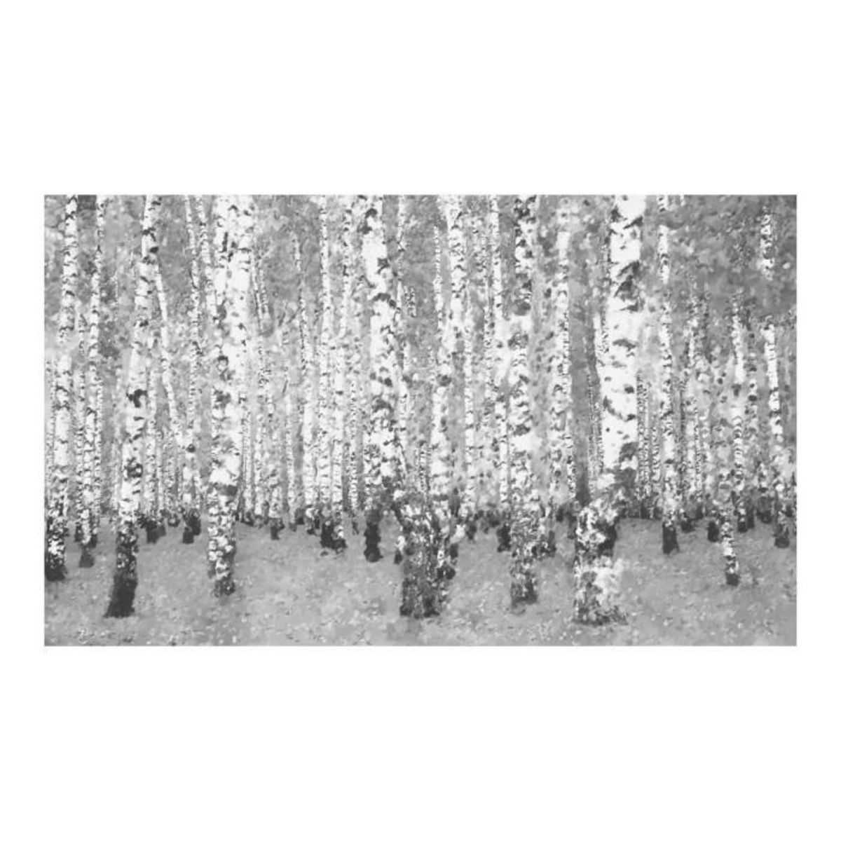 Paris Prix Papier Peint  Birch Seclusion II  450x270cm