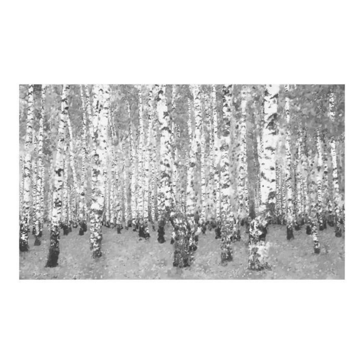 Paris Prix Papier Peint  Birch Seclusion II  450x270cm
