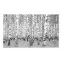 Voir la diapositive 2 : Paris Prix Papier Peint  Birch Seclusion II  450x270cm