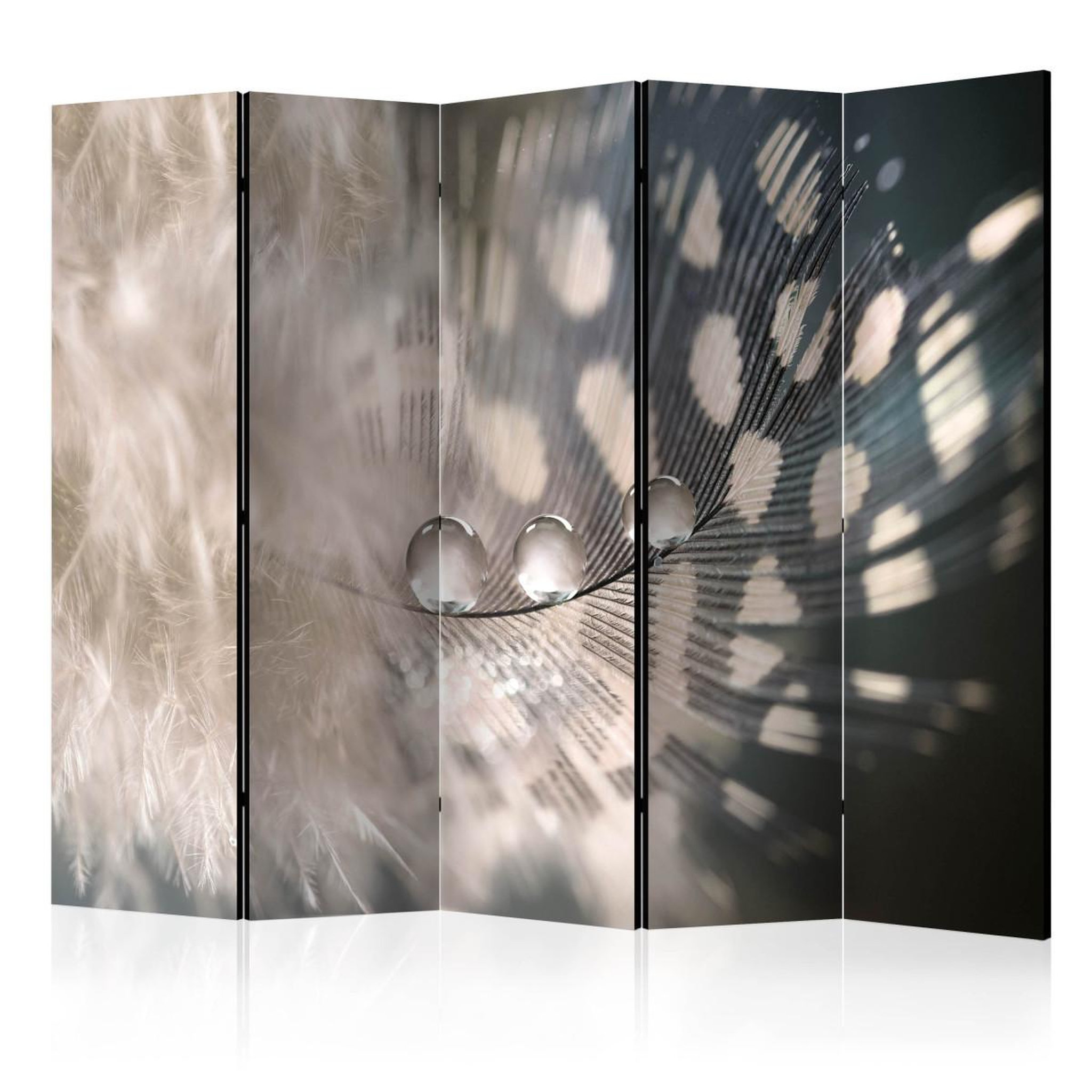 Paris Prix Paravent 5 volets  elegant feather  172x225cm