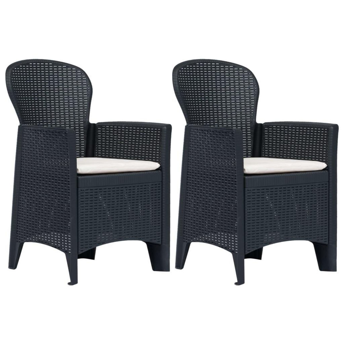 VIDAXL Chaises de jardin lot de 2 avec coussin Anthracite Plastique