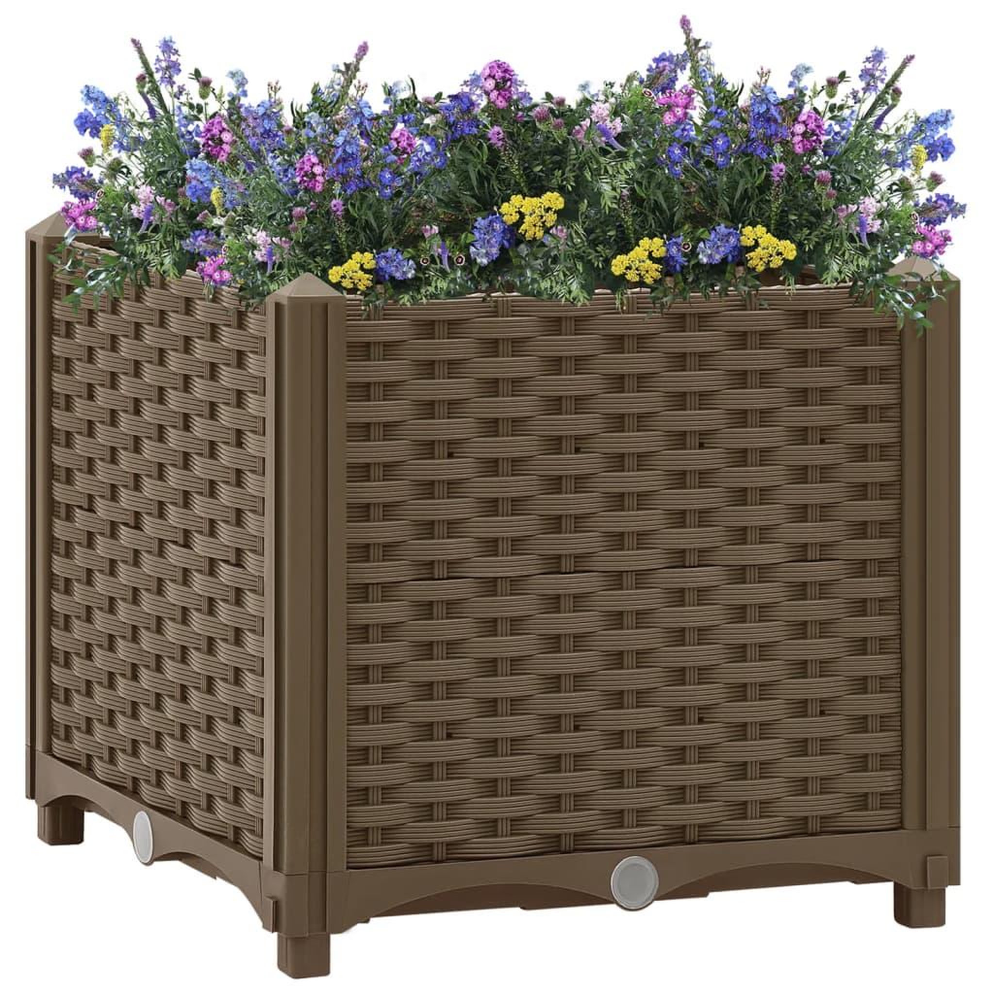 Voir la diapositive 1 : VIDAXL Lit sureleve 40x40x38 cm Polypropylene