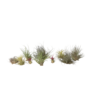 Voir la diapositive 1 : PLANT IN A BOX Plante aérienne - Set de 10 - Tillandsia - Hauteur 5-15cm - ⌀5cm