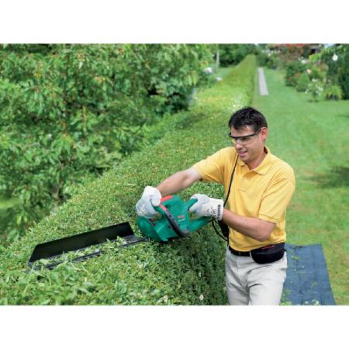 BOSCH Taille-haie électrique