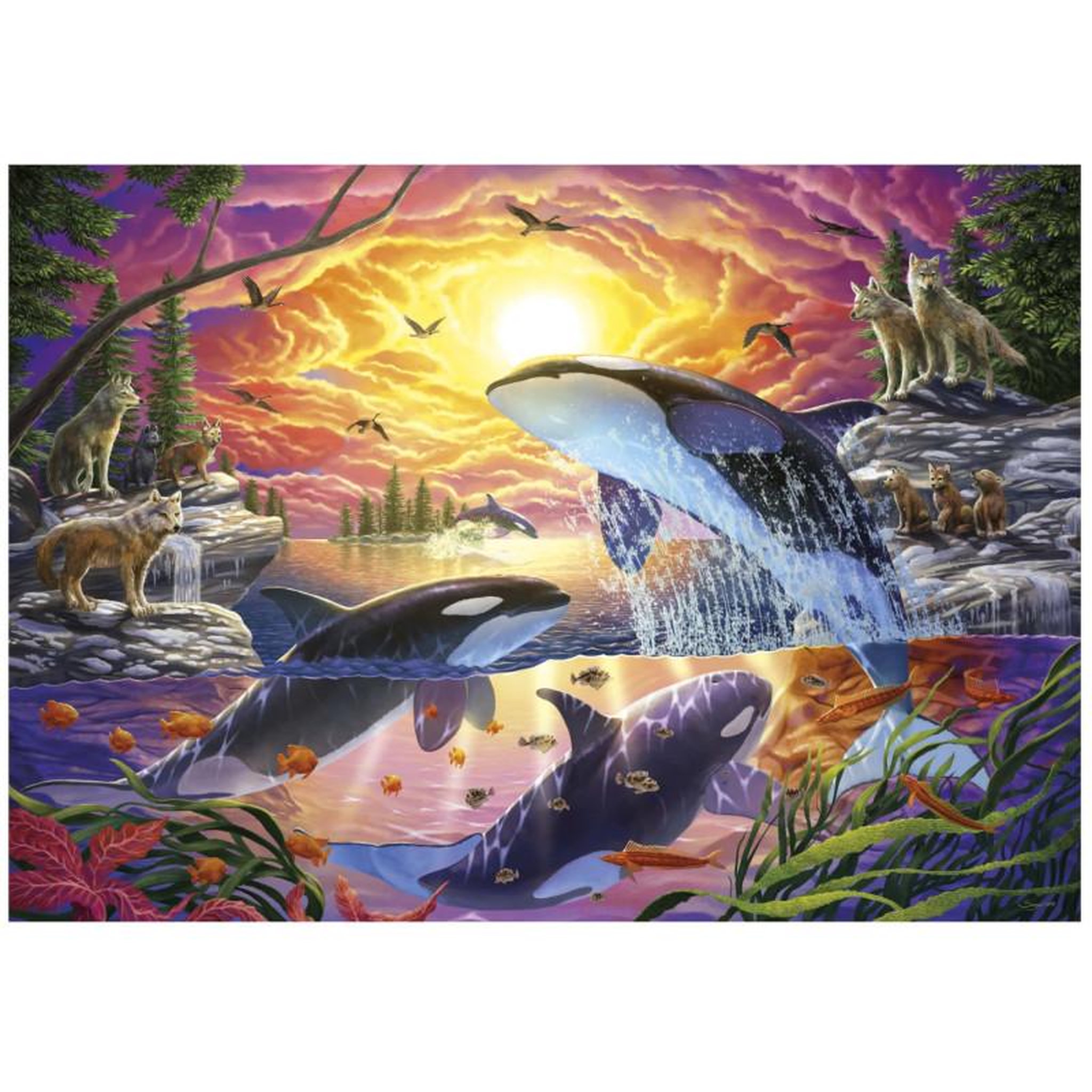 Voir la diapositive 2 : EDUCA Puzzle 4000 pièces – Orques et loups – Scène nature sauvage – Très grand format 136 x 96 cm – Défi adulte dès 15 ans – Educa