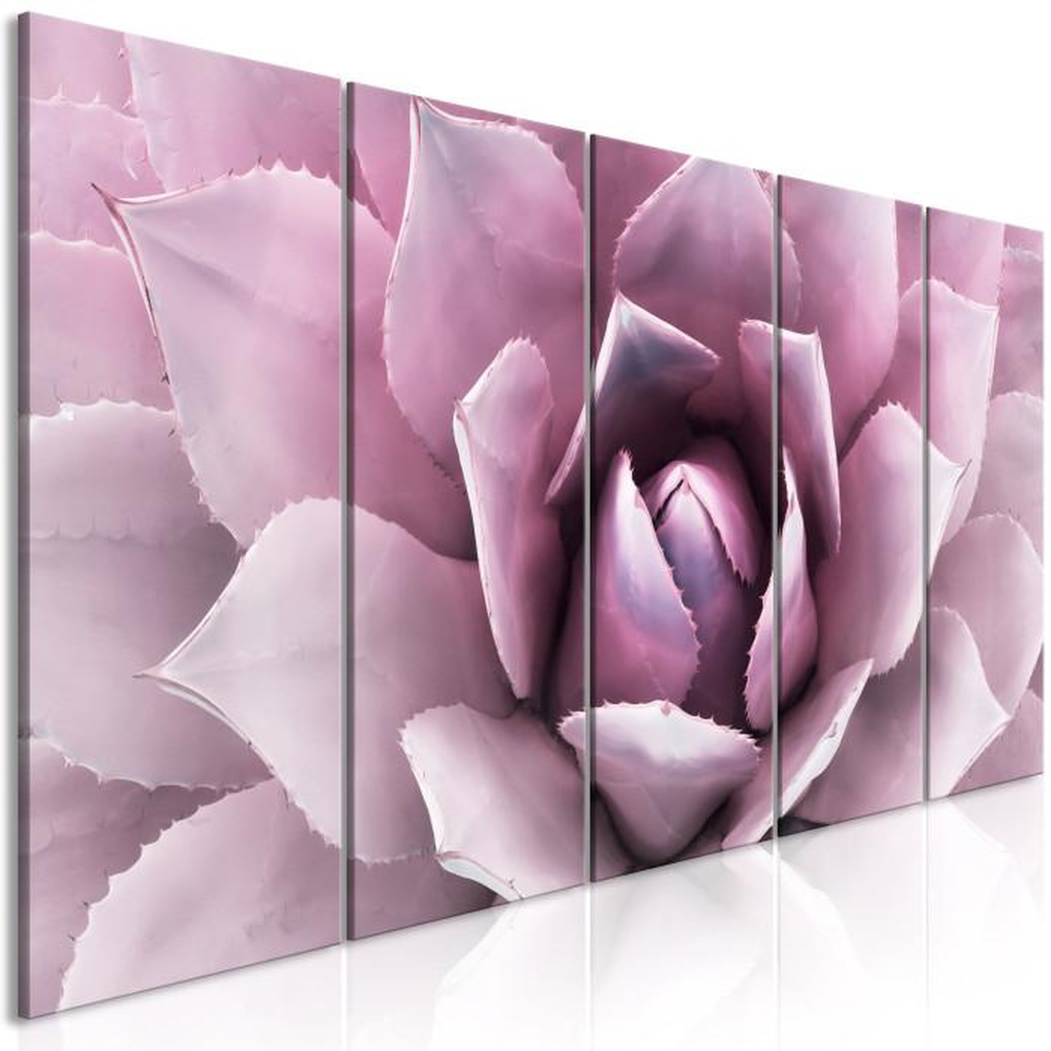 Paris Prix Tableau Imprimé 5 Panneaux  Agave Narrow Pink. Coloris disponibles : Multicolore
