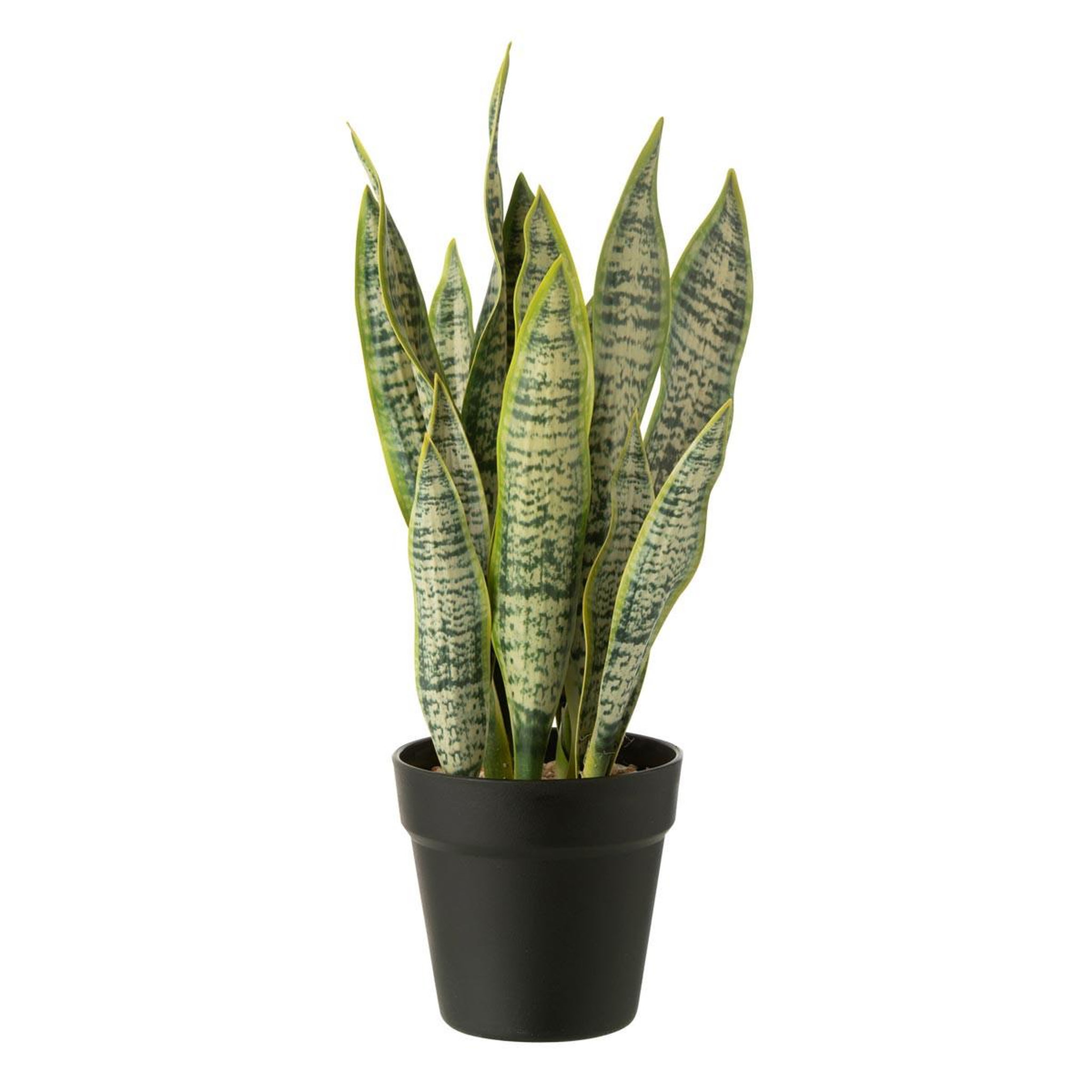 J-LINE Plante artificielle en pot  dracaena trifasciata  47cm vert