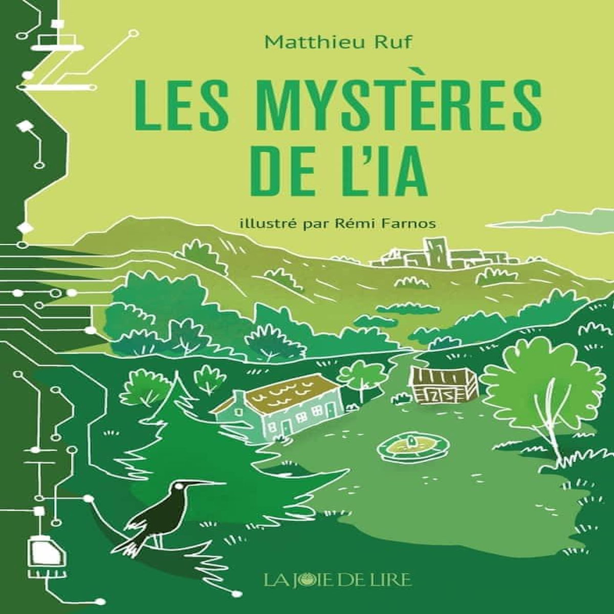 LES MYSTERES DE L'IA, Ruf Matthieu