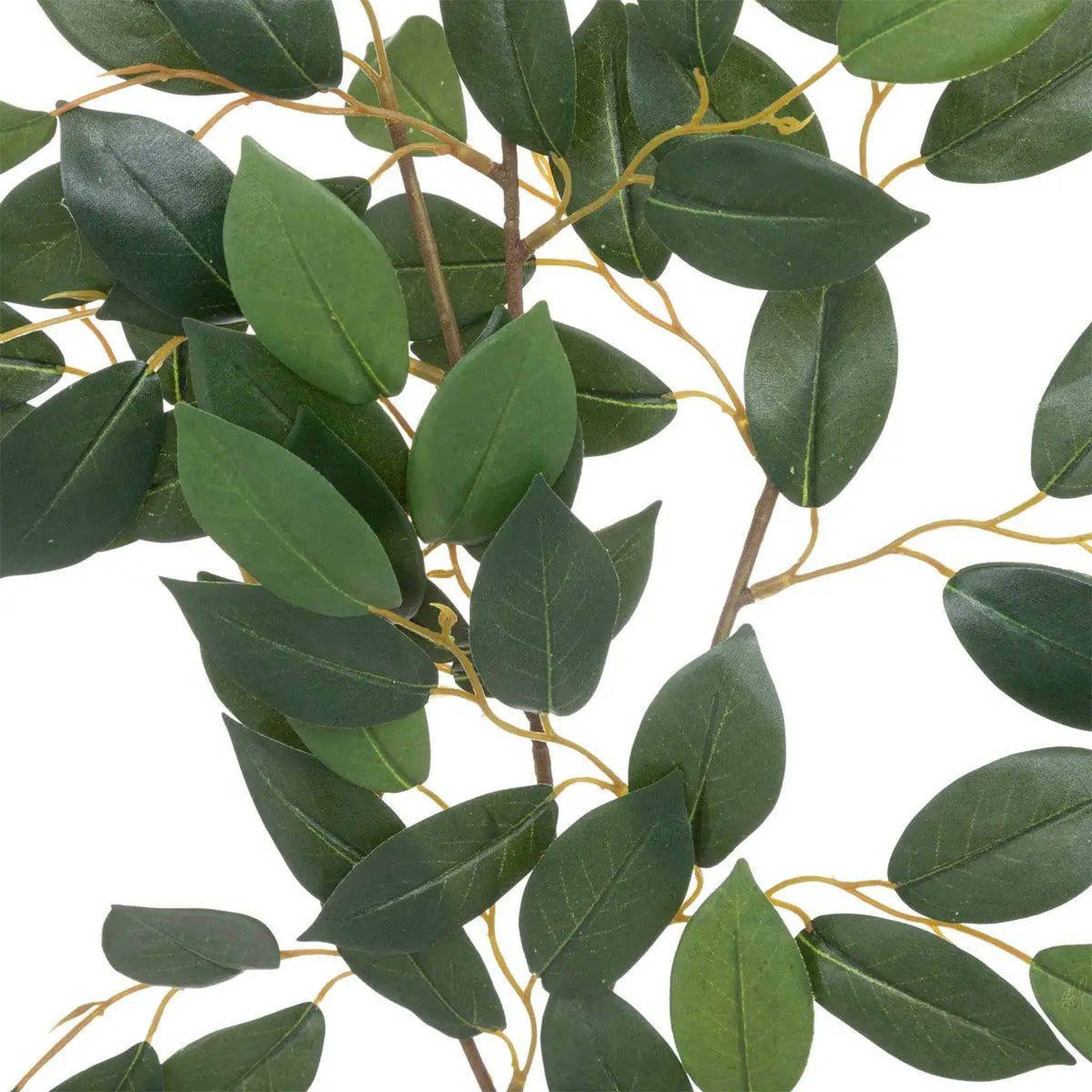 Voir la diapositive 2 : ATMOSPHERA Tige de feuilles artificielles  camélia  70cm vert