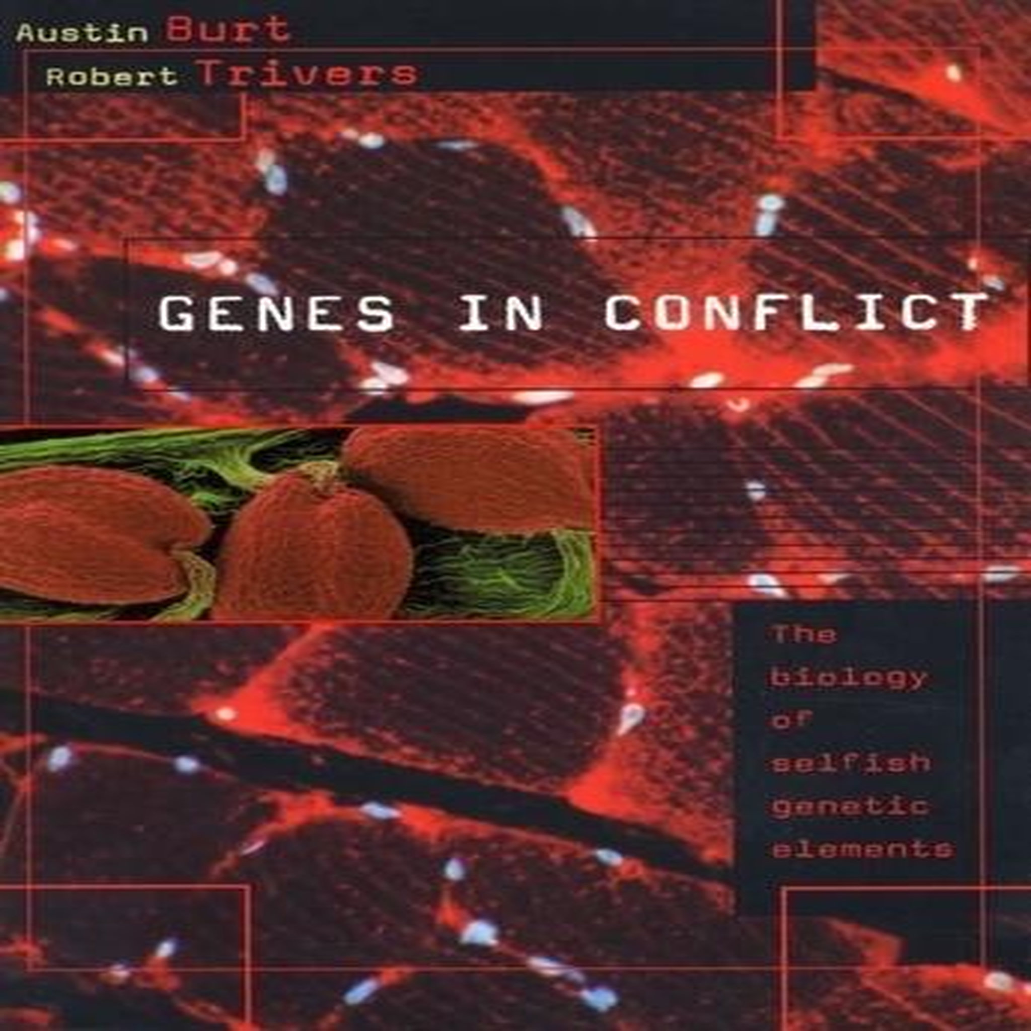 GENES IN CONFLICT - THE BIOLOGY OF SELFISH GENETIC ELEMENTS.. EDITION EN ANGLAIS, Burt Austin