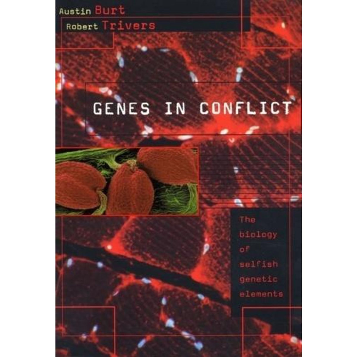 GENES IN CONFLICT - THE BIOLOGY OF SELFISH GENETIC ELEMENTS.. EDITION EN ANGLAIS, Burt Austin