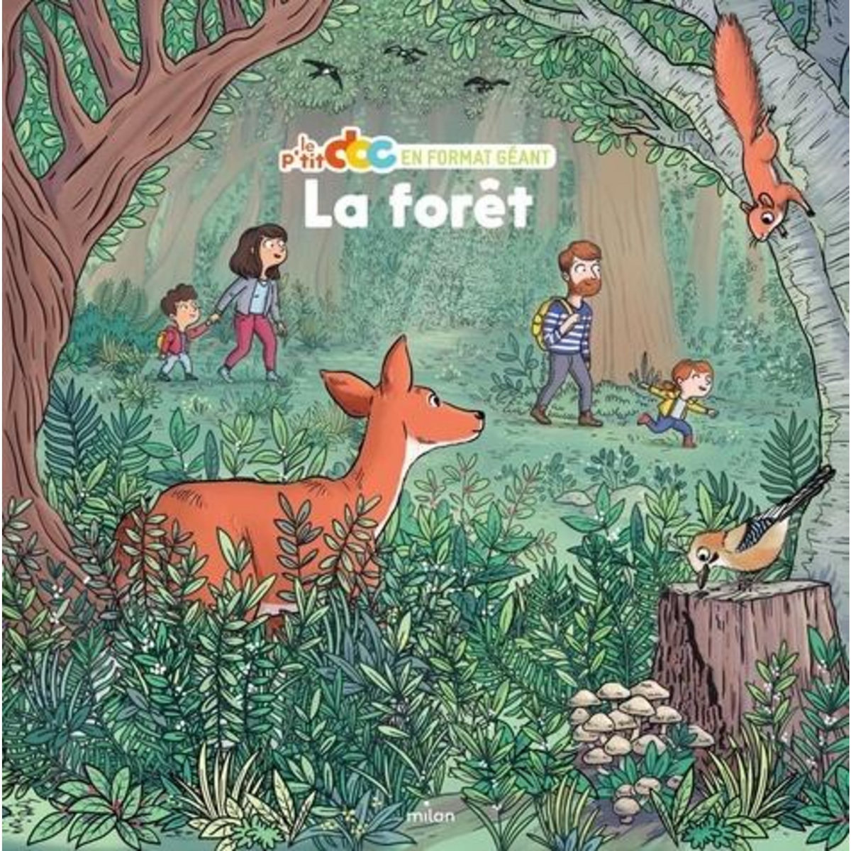 LA FORET. AVEC 1 POSTER, Ledu Stéphanie