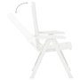 Voir la diapositive 5 : VIDAXL Chaises inclinables de jardin lot de 2 Plastique Blanc