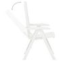 Voir la diapositive 5 : VIDAXL Chaises inclinables de jardin lot de 2 Plastique Blanc