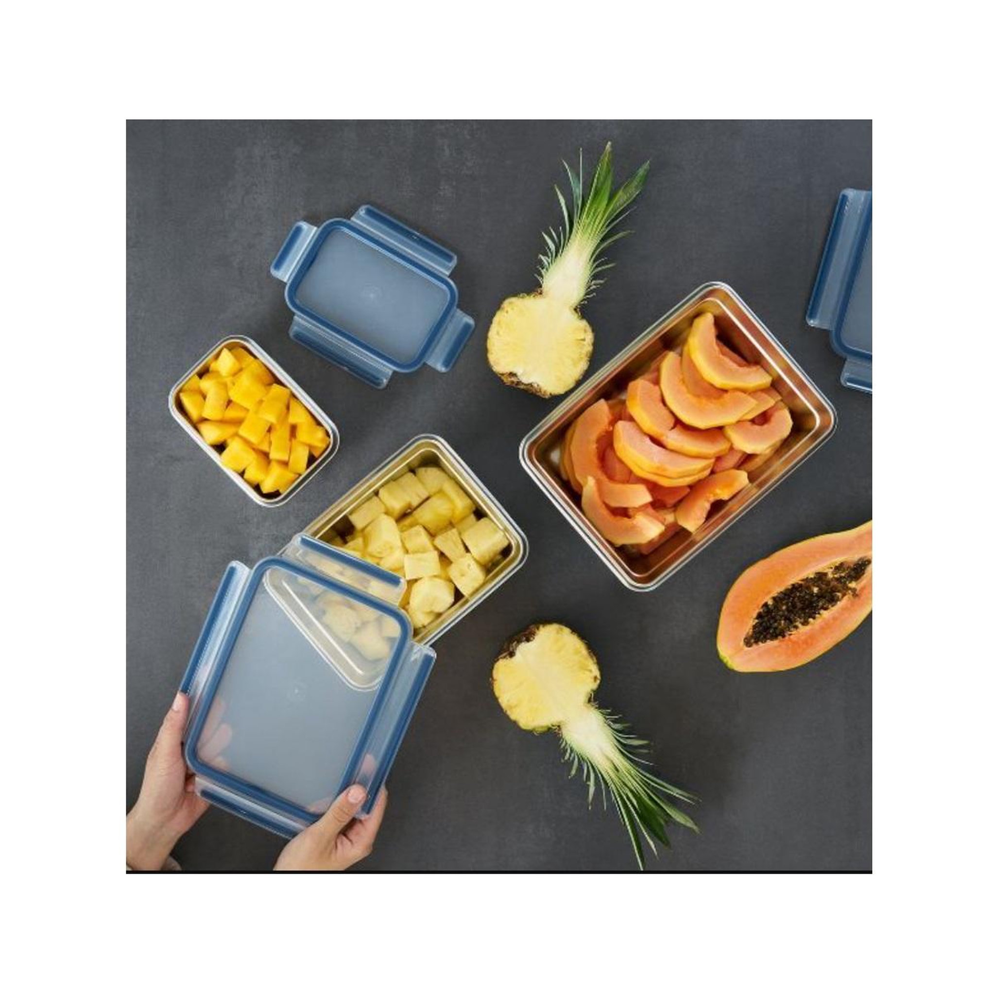 Voir la diapositive 3 : EMSA Boîte alimentaire 2l inox - n1150600
