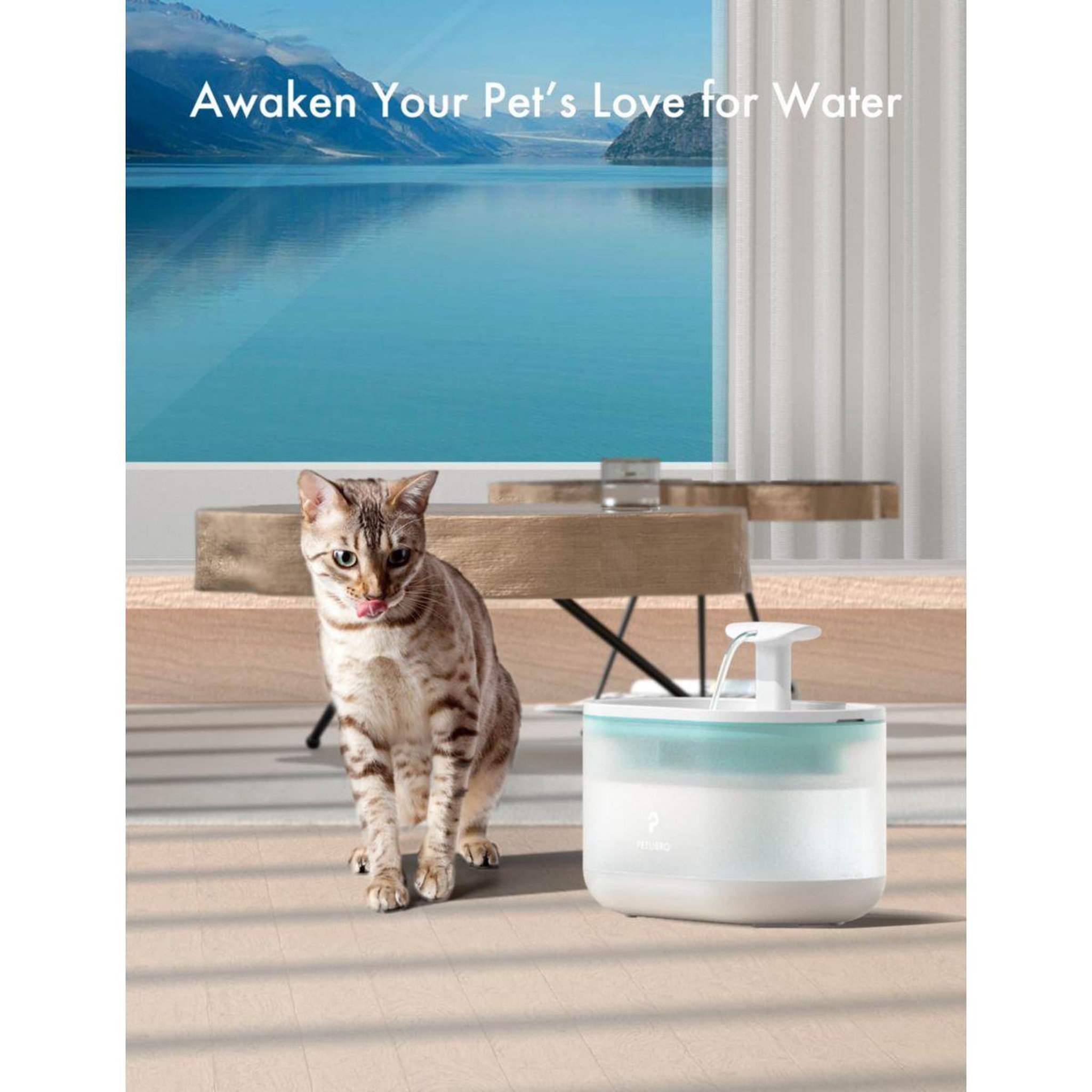 Voir la diapositive 4 : PETLIBRO Fontaine à eau à capsule bleue plwf002