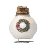 PLANT IN A BOX Amaryllis - Hippeastrum 'Couronne en Cire de Porcelaine'