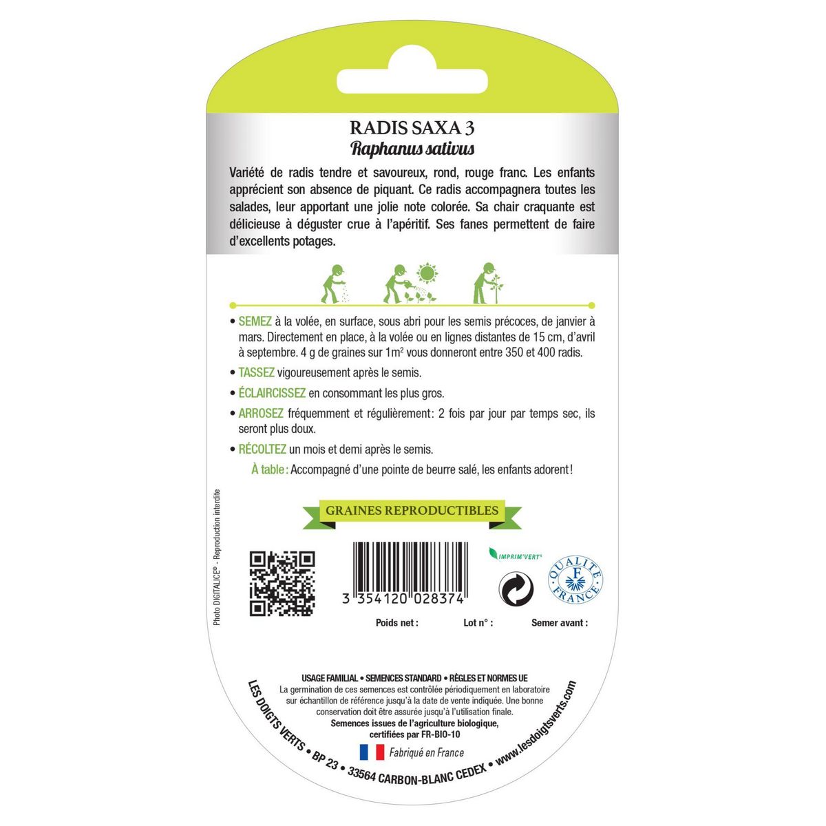 LES DOIGTS VERTS Graines de radis saxa 3 BIO Les Doigts Verts