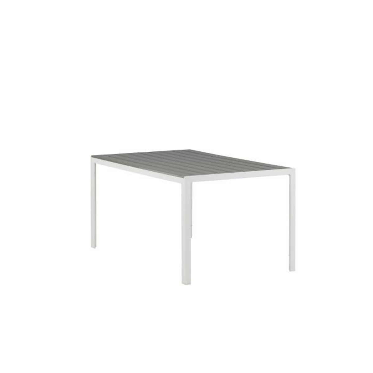 Paris Prix Table de Jardin  Break  150cm Gris