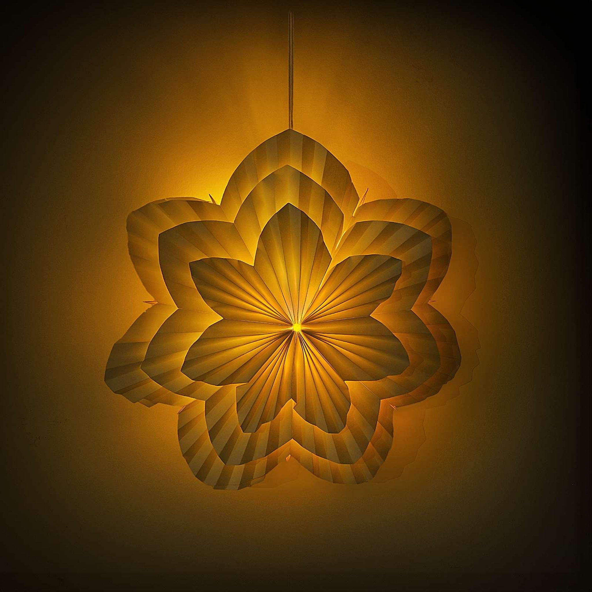 Voir la diapositive 5 : VIDAXL Eclairage de Noël RAAHE 10 LED Blanc chaud 60 x 20 x 60 cm