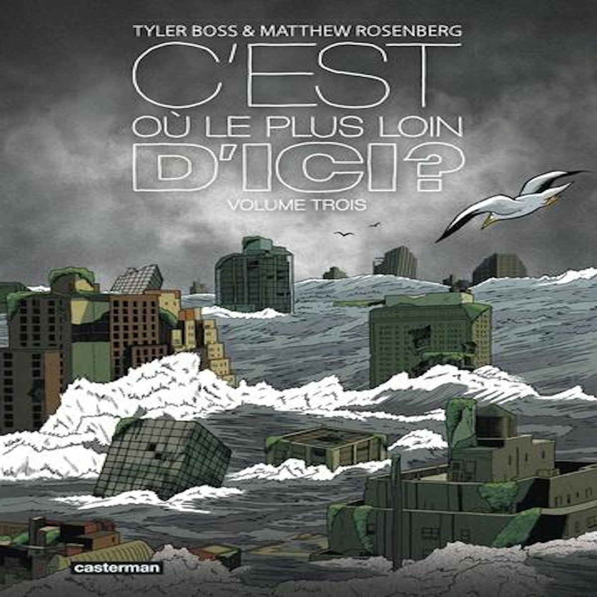 C'EST OU, LE PLUS LOIN D'ICI ? TOME 3 , Rosenberg Matthew