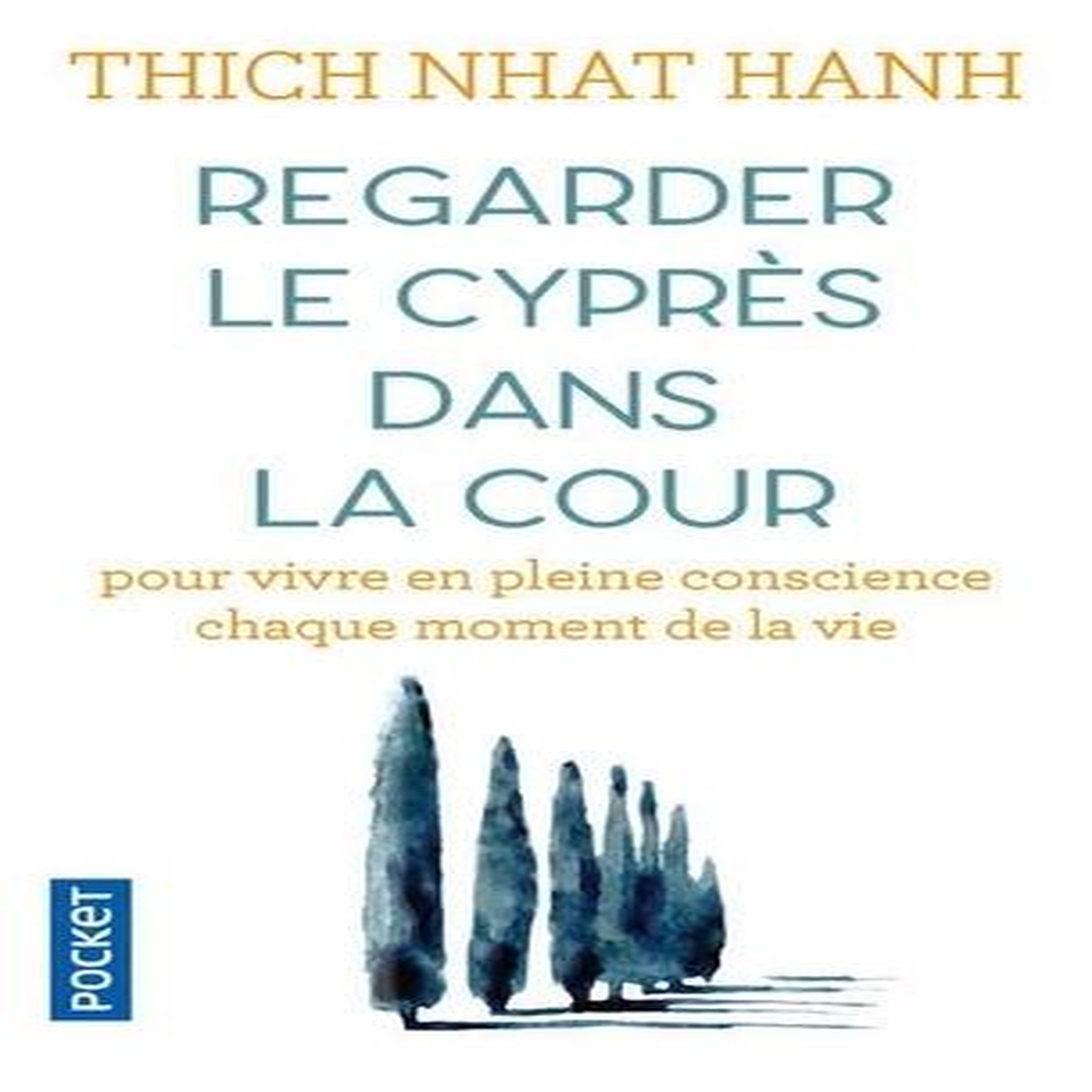 REGARDER LE CYPRES DANS LA COUR. POUR VIVRE EN PLEINE CONSCIENCE CHAQUE MOMENT DE LA VIE, Thich Nhat Hanh