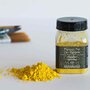  Pigment pour création de peinture - pot 100 g - Jaune de cadmium foncé substitut
