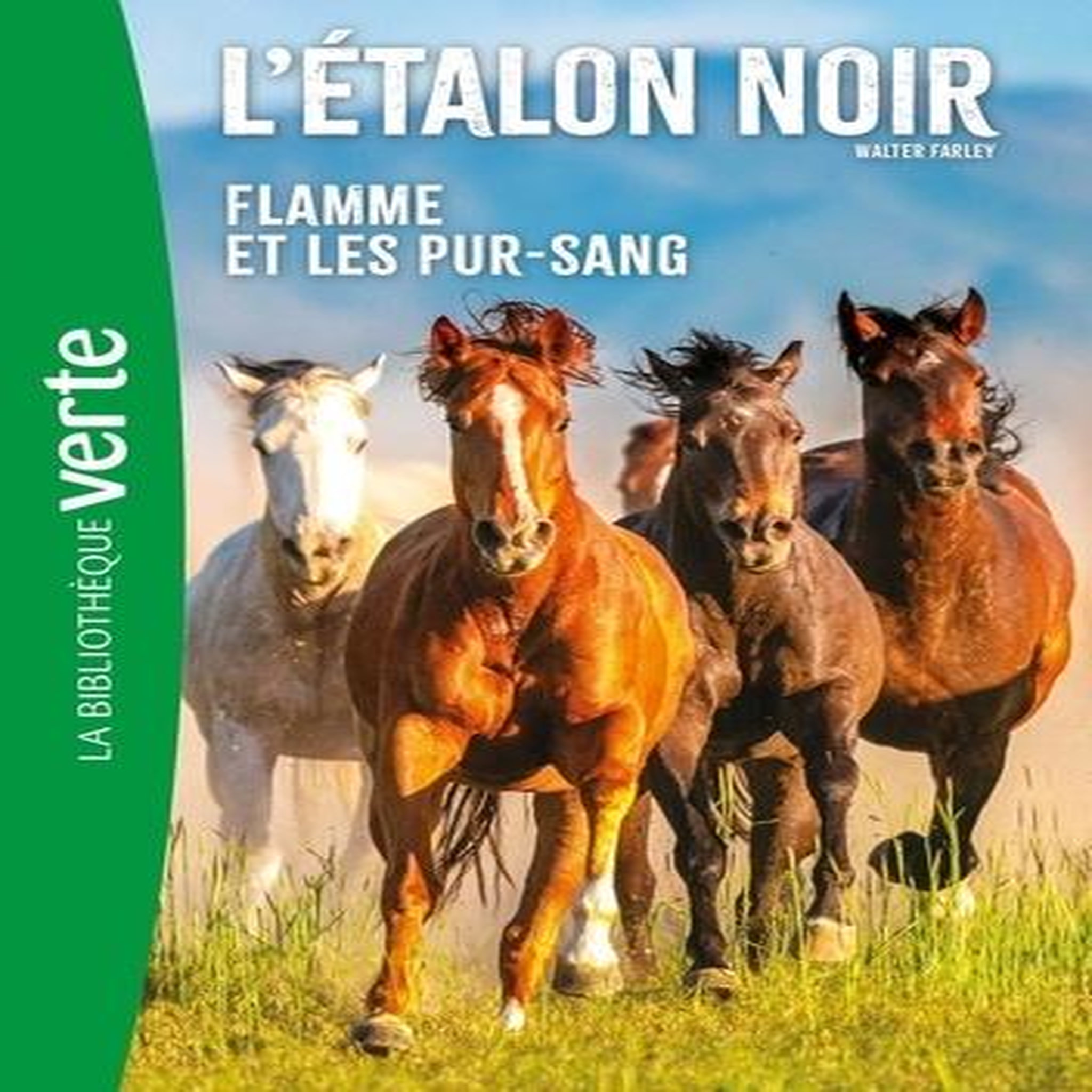 L'ETALON NOIR TOME 11 : FLAMME ET LES PUR-SANG, Farley Walter