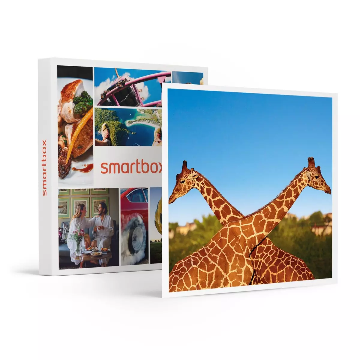 Smartbox Passion animaux - Coffret Cadeau Multi-thèmes