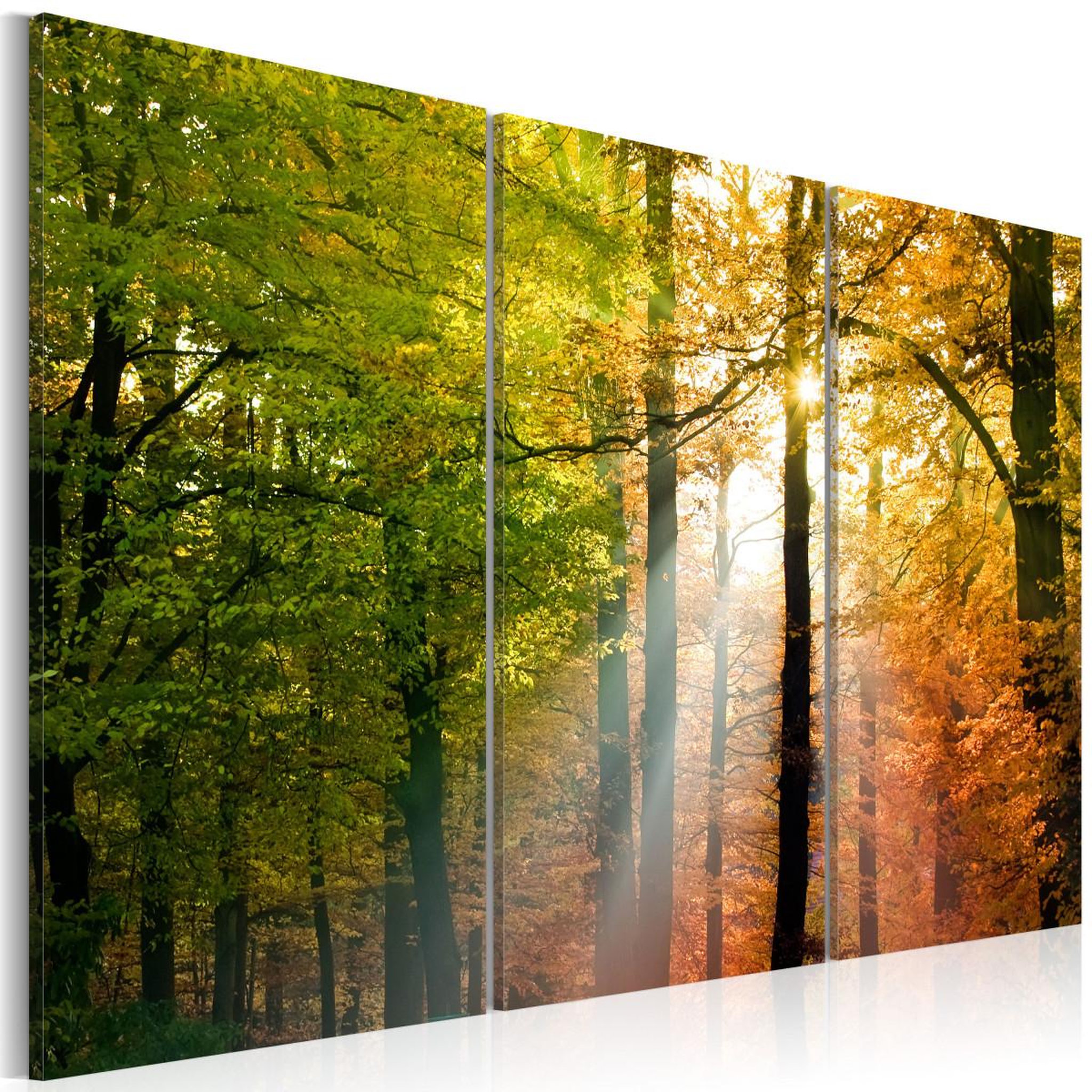 Voir la diapositive 1 : Paris Prix Tableau Imprimé II  Forêt D'automne