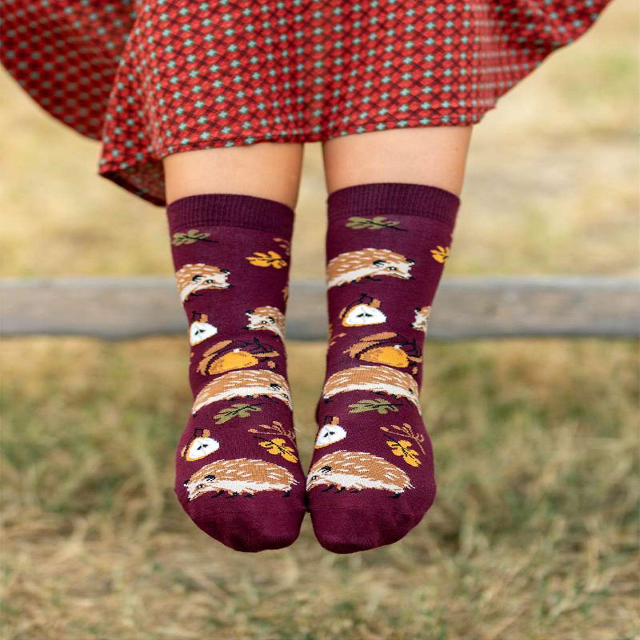 Voir la diapositive 2 : PIRIN HILL Chaussettes coton bio automne hérissons