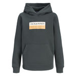 Jack & Jones Sweat  Foncé Homme Jack & Jones Frederiksberg. Coloris disponibles : Gris