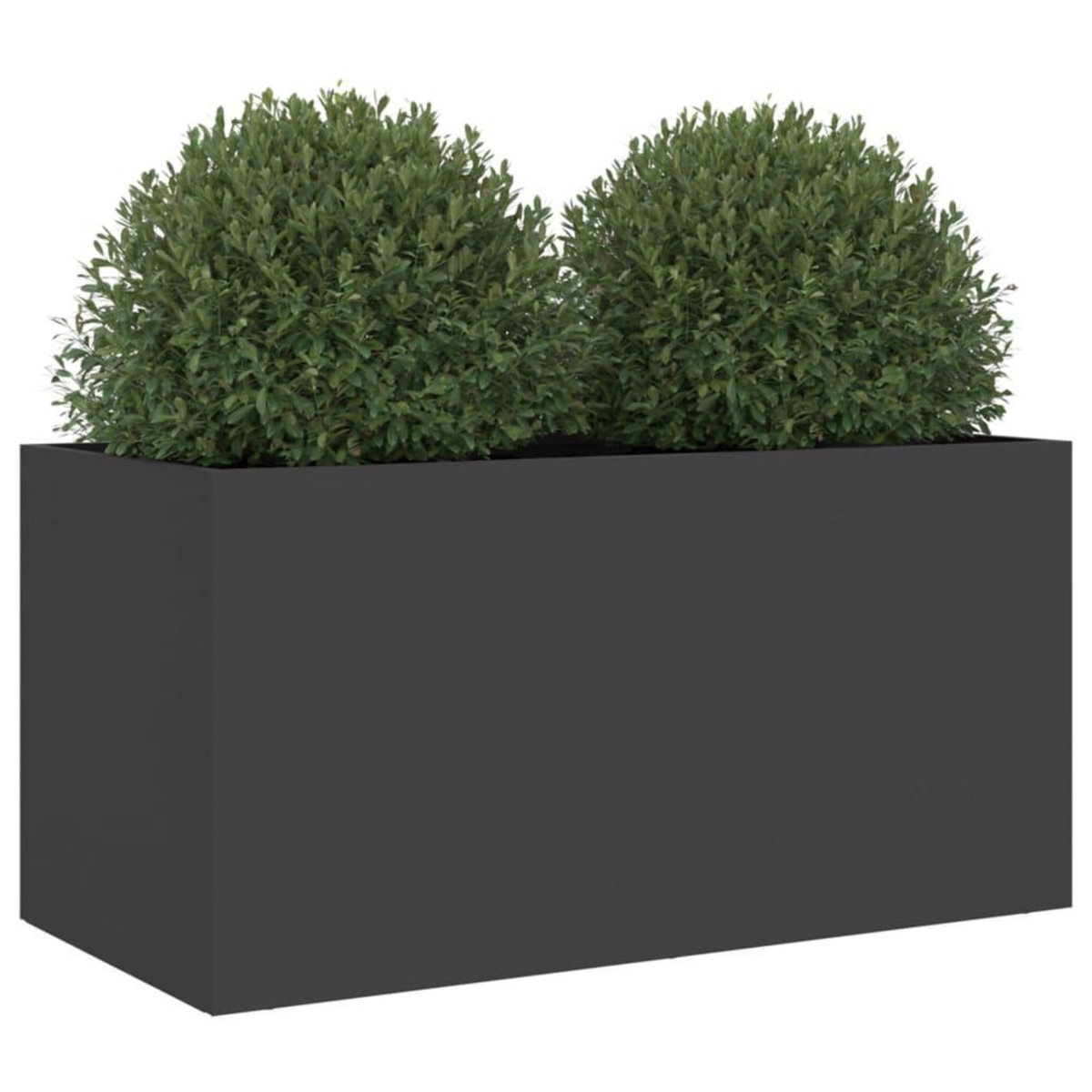 VIDAXL Jardiniere noir 62x30x29 cm acier
