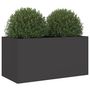 Voir la diapositive 4 : VIDAXL Jardiniere noir 62x30x29 cm acier