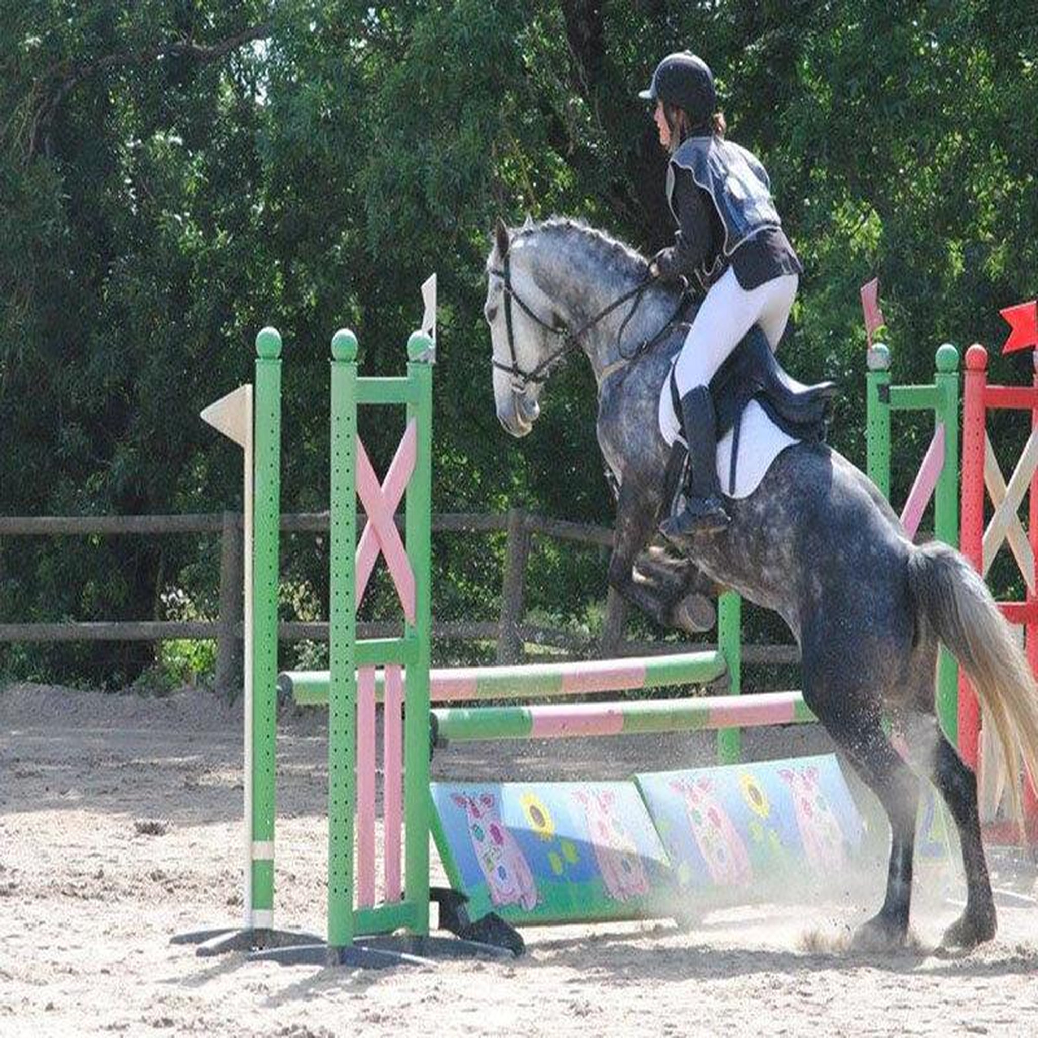 Voir la diapositive 2 : Smartbox Journée de balade, randonnée à cheval ou cours d'équitation - coffret cadeau sport & aventure