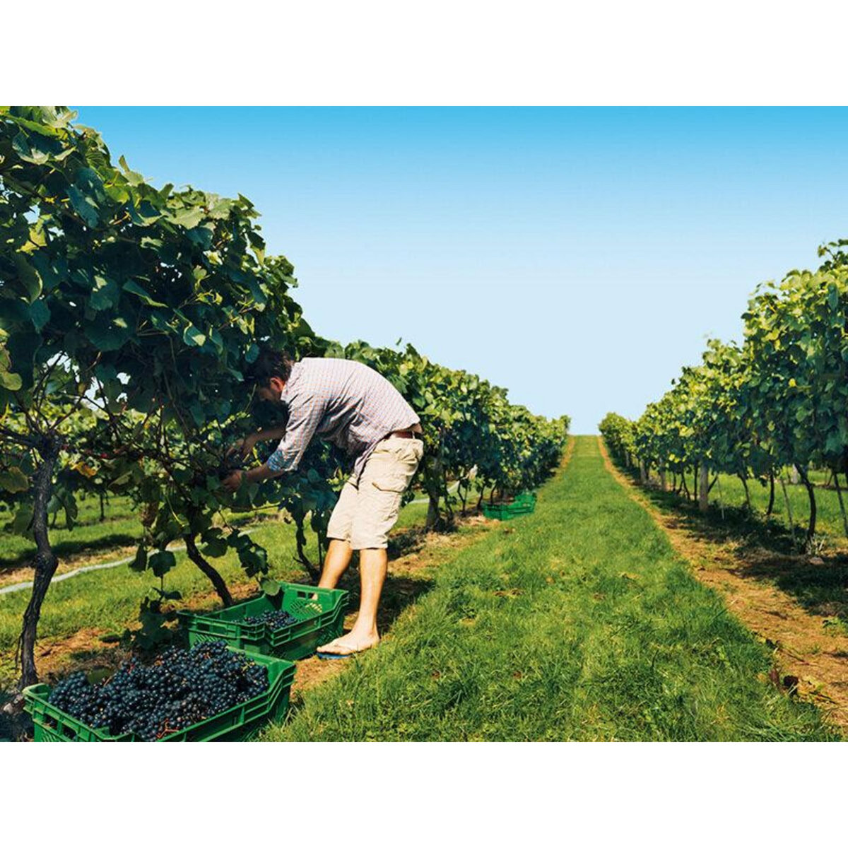 Smartbox Séjour œnologique et sortie culturelle - Coffret Cadeau Multi-thèmes