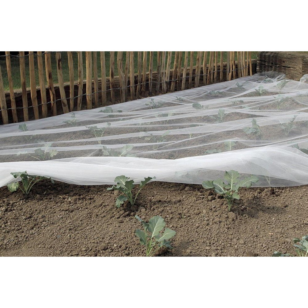 Nortene Filet anti-insectes Biocontrol en polyester - 2 x 100 m - Blanc