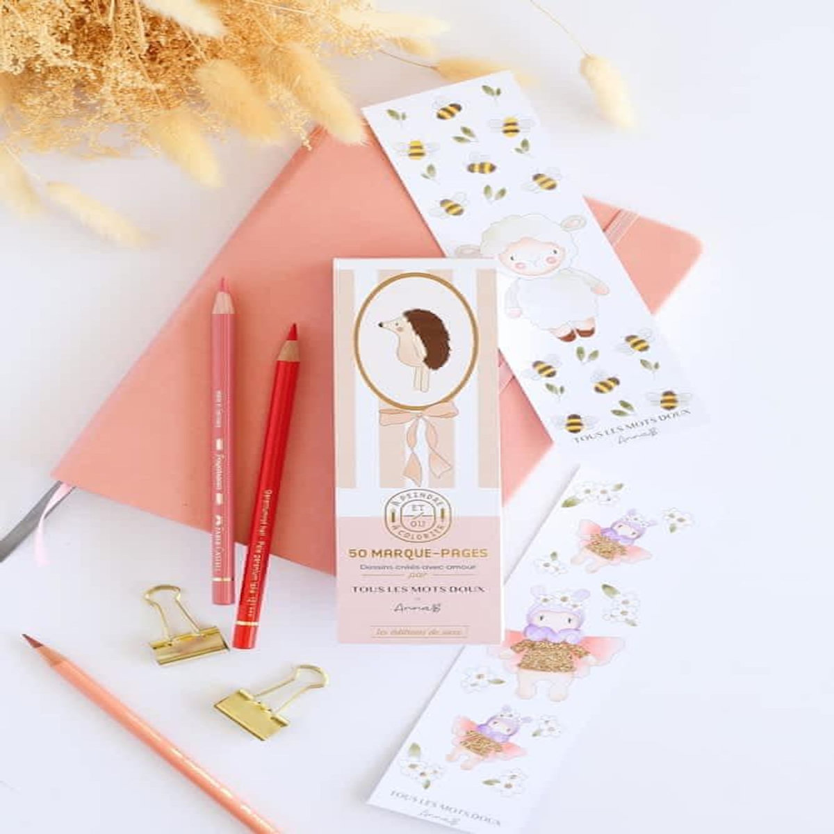 50 MARQUE-PAGES A PEINDRE ET/OU A COLORIER, Borcier Déborah