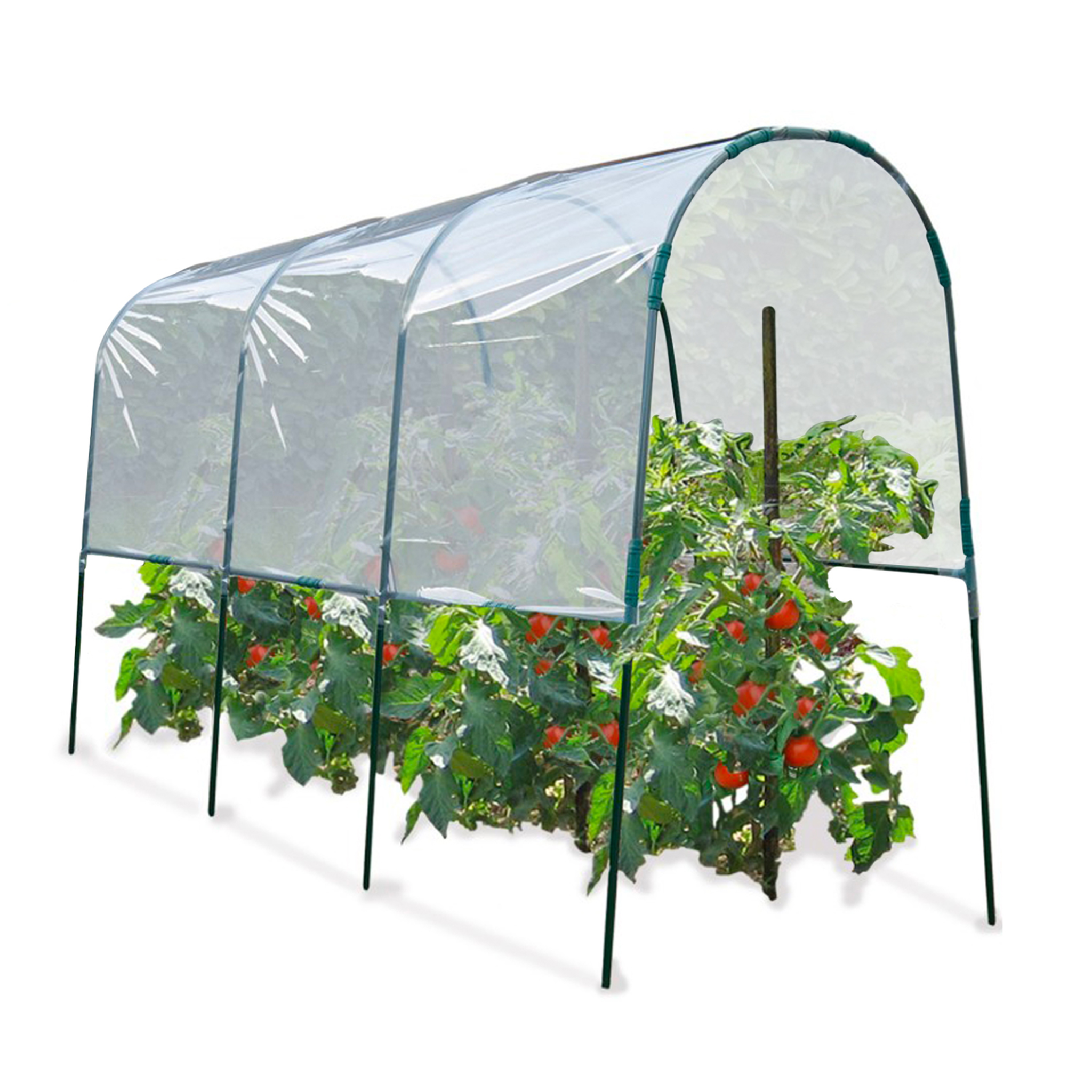 ID MARKET Serre à tomates de jardin 400 x 120 x 170 cm avec bâche transparente + arceaux en acier