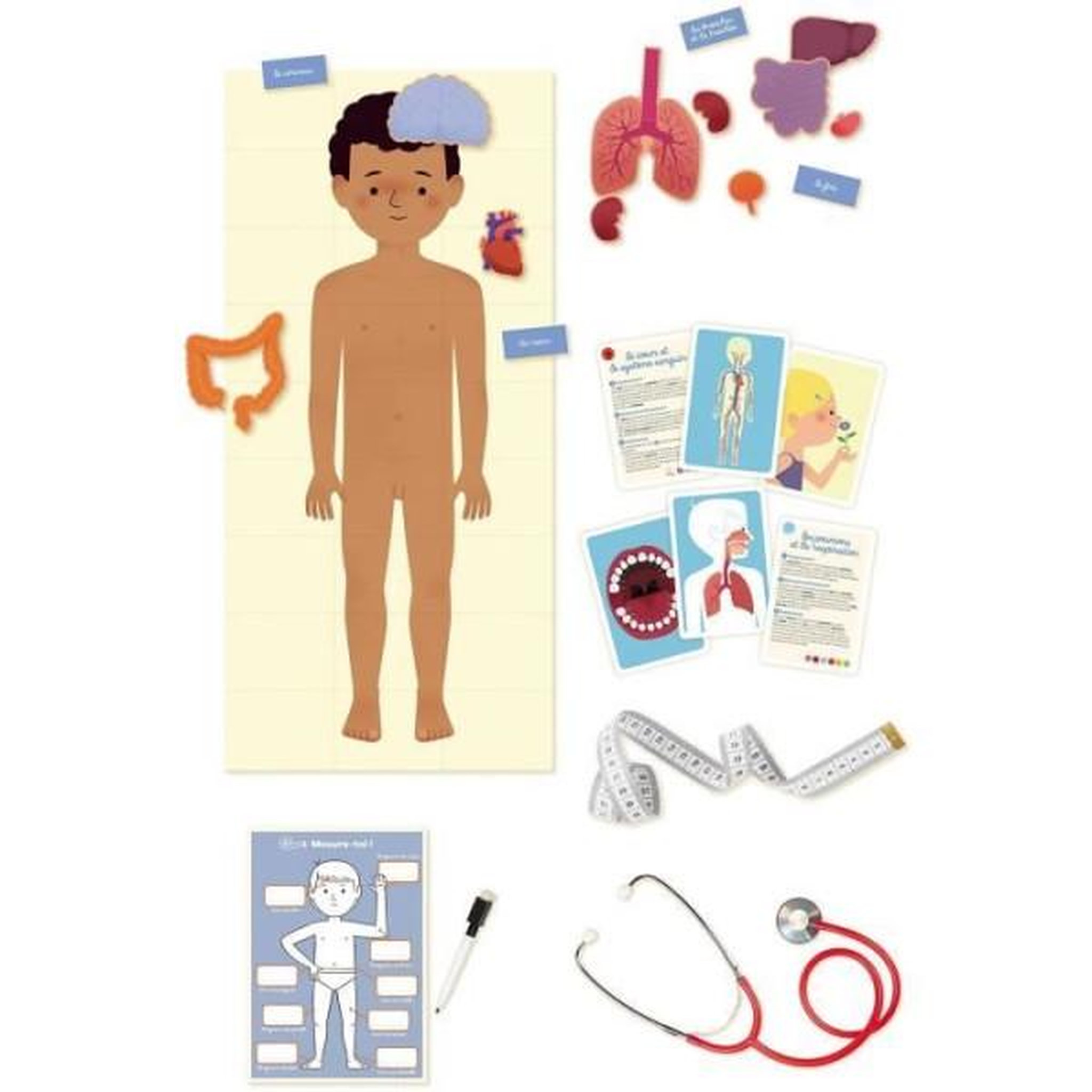 Voir la diapositive 2 : Nathan Coffret éducation positive Nathan Rythme Corps Humain - 3 a 8 ans - 1120600021