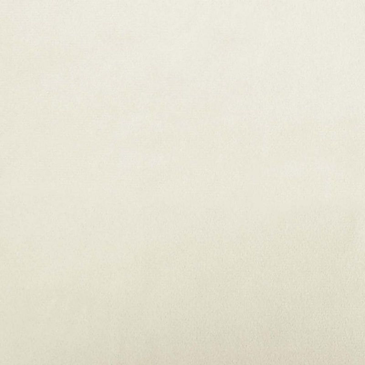 VIDAXL Lit pour chien crème 90x53x30 cm velours