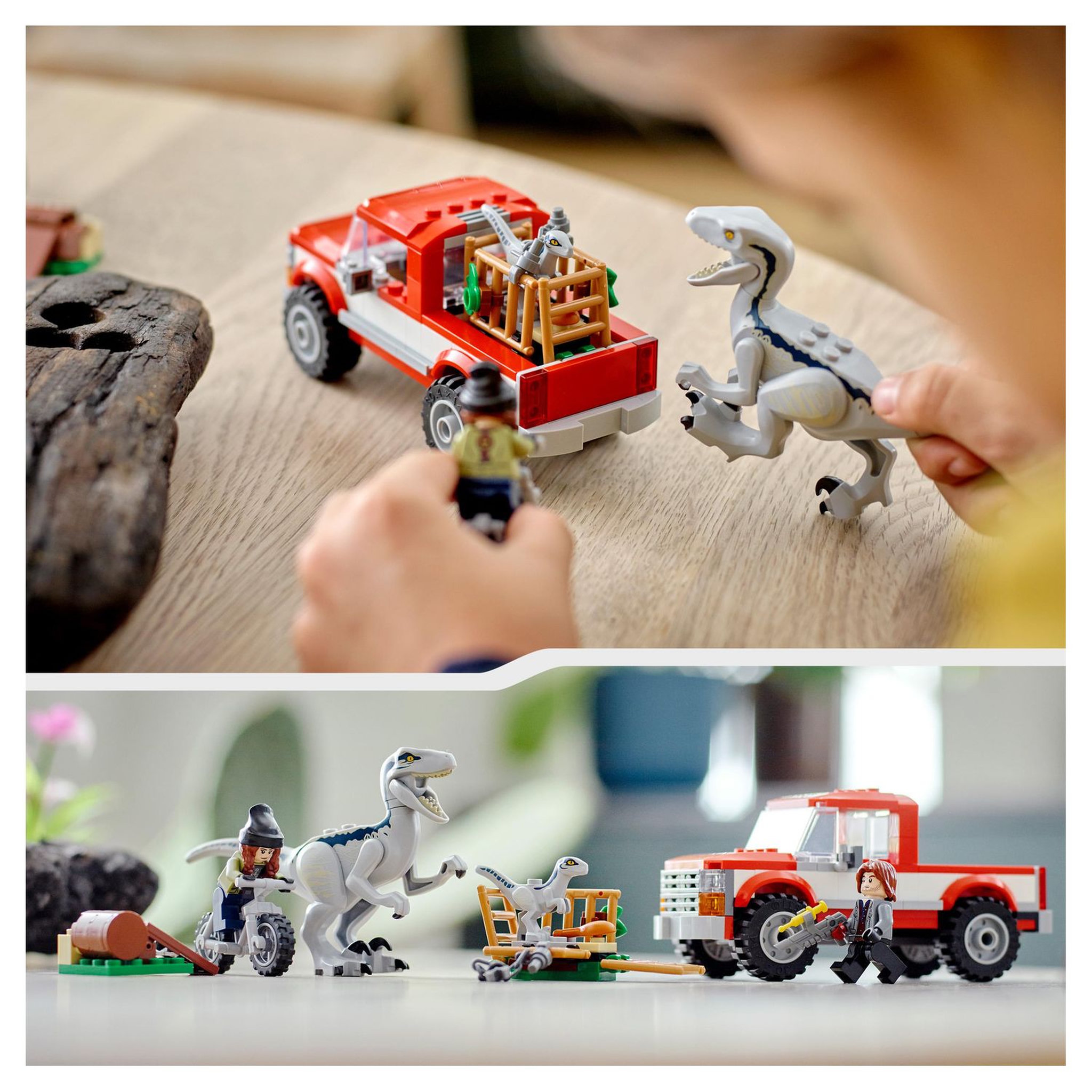 Voir la diapositive 8 : LEGO Jurassic World 76946 La Capture des Vélociraptors Beta et Blue
