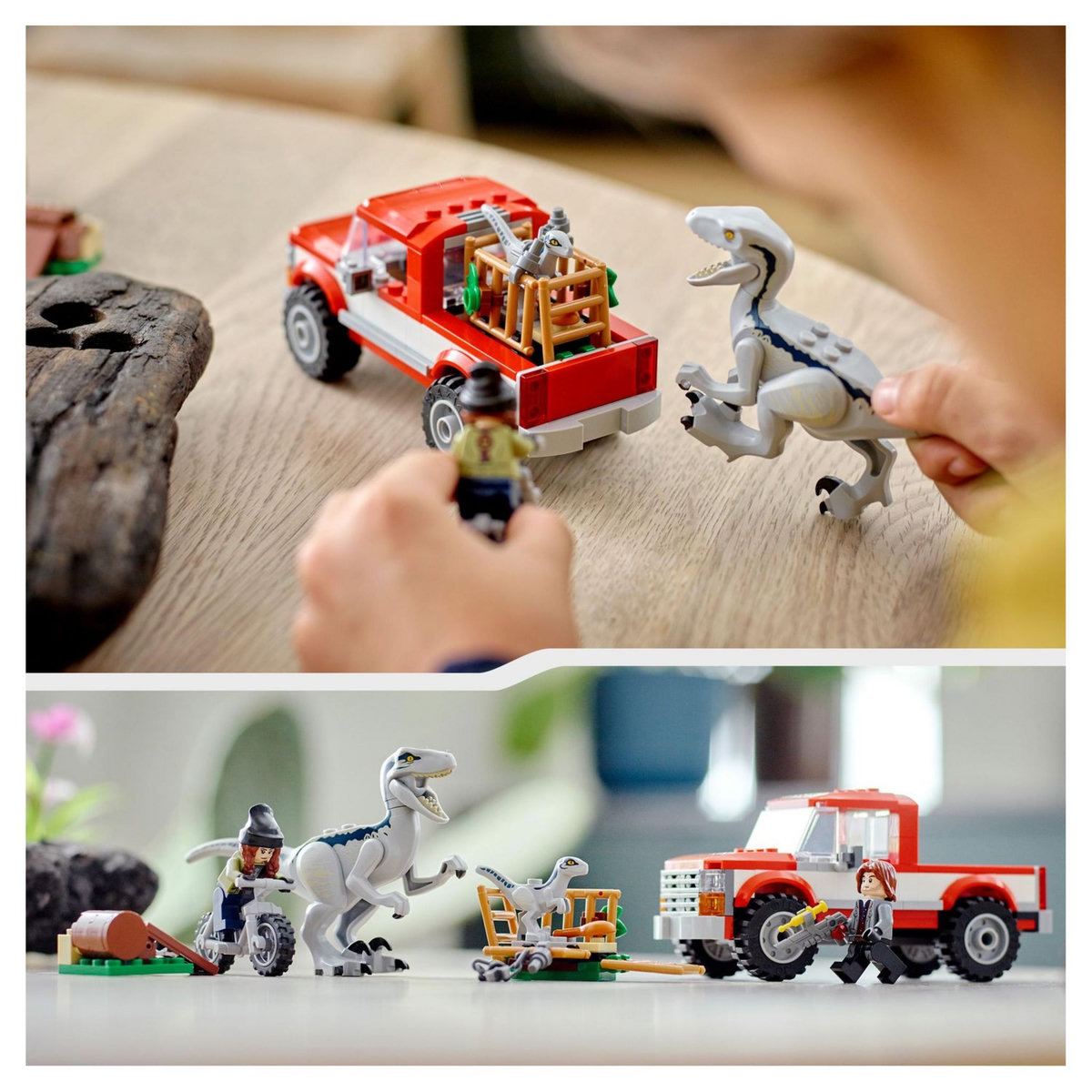 LEGO Jurassic World 76946 La Capture des Vélociraptors Beta et Blue