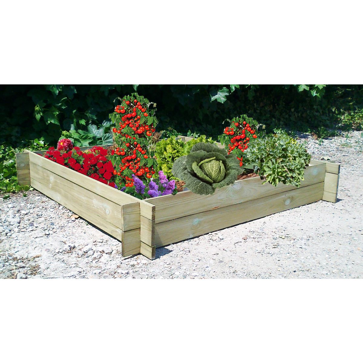 GARDENSTAR Carré Potager - Bois autoclavé - 120x120x30cm