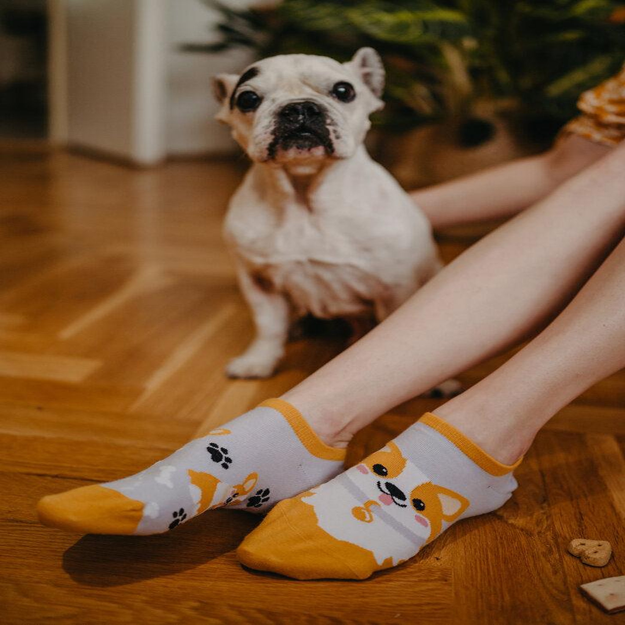 Voir la diapositive 4 : DEDOLES Socquettes invisibles chiens corgis